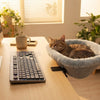 Foldable Cat Desk Bed